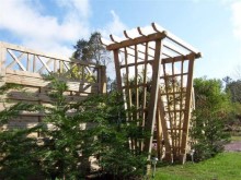 Pergola-dans-les-Landes