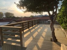 Terrasse-sapin-Peyrehorade